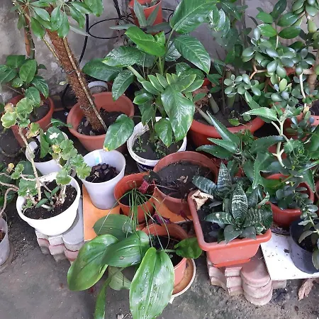 смарт сдана 2019 Apartment